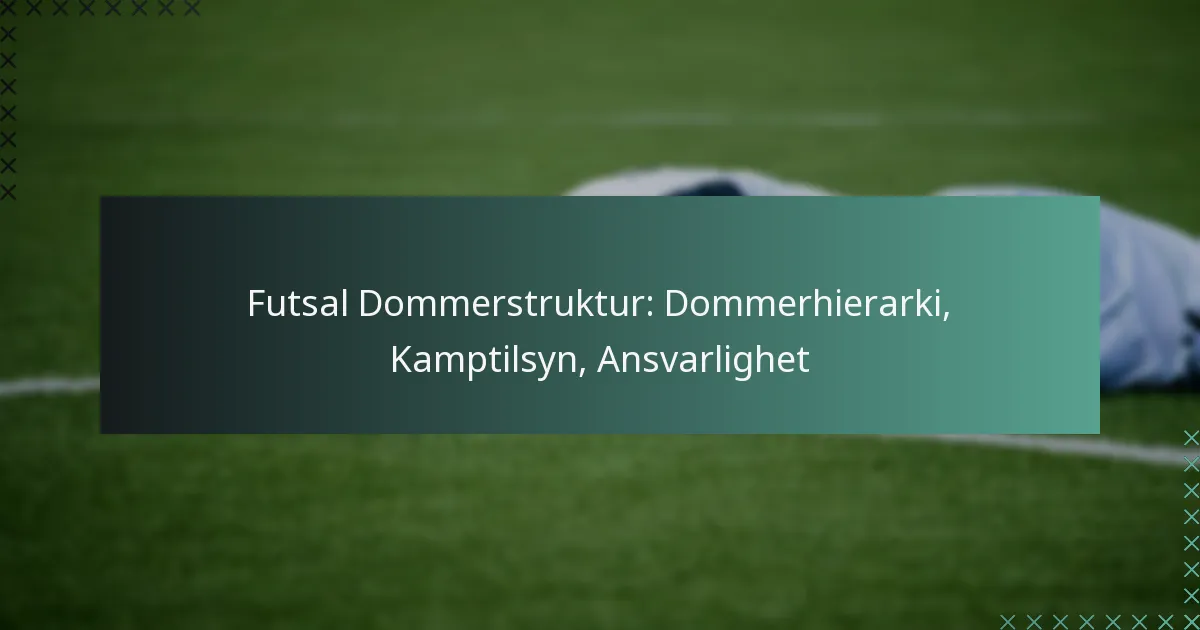Futsal Dommerstruktur: Dommerhierarki, Kamptilsyn, Ansvarlighet