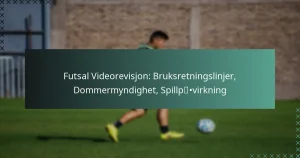 Futsal Videorevisjon: Bruksretningslinjer, Dommermyndighet, Spillpåvirkning