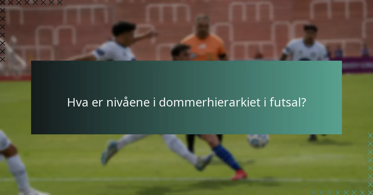 Hva er nivåene i dommerhierarkiet i futsal?